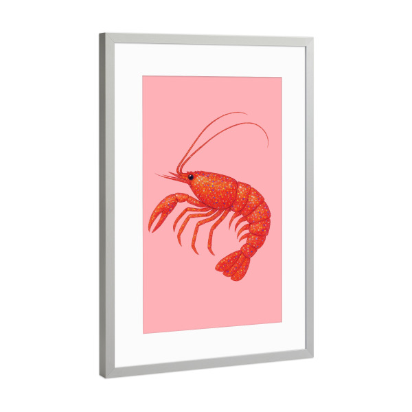 Poster mit Rahmen Silber "Disco-Glitzergarnelen" artboxONE - Tiere,Reise / Strand und Meer
