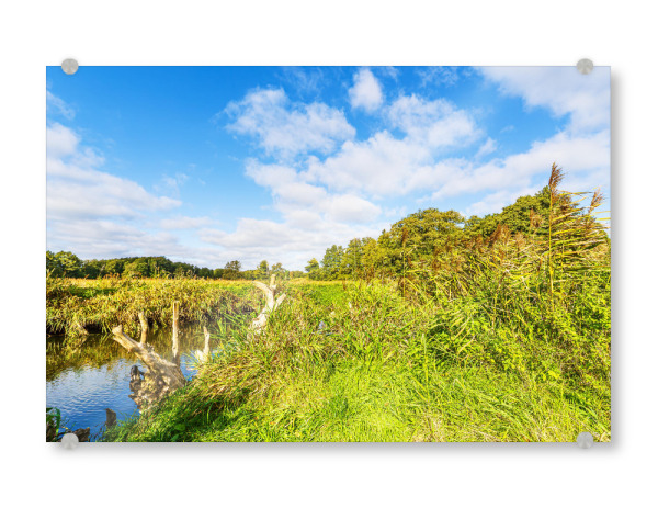 Acrylglasbild "Herbst im Warnowdurchbruchstal" artboxONE - Natur,Reise