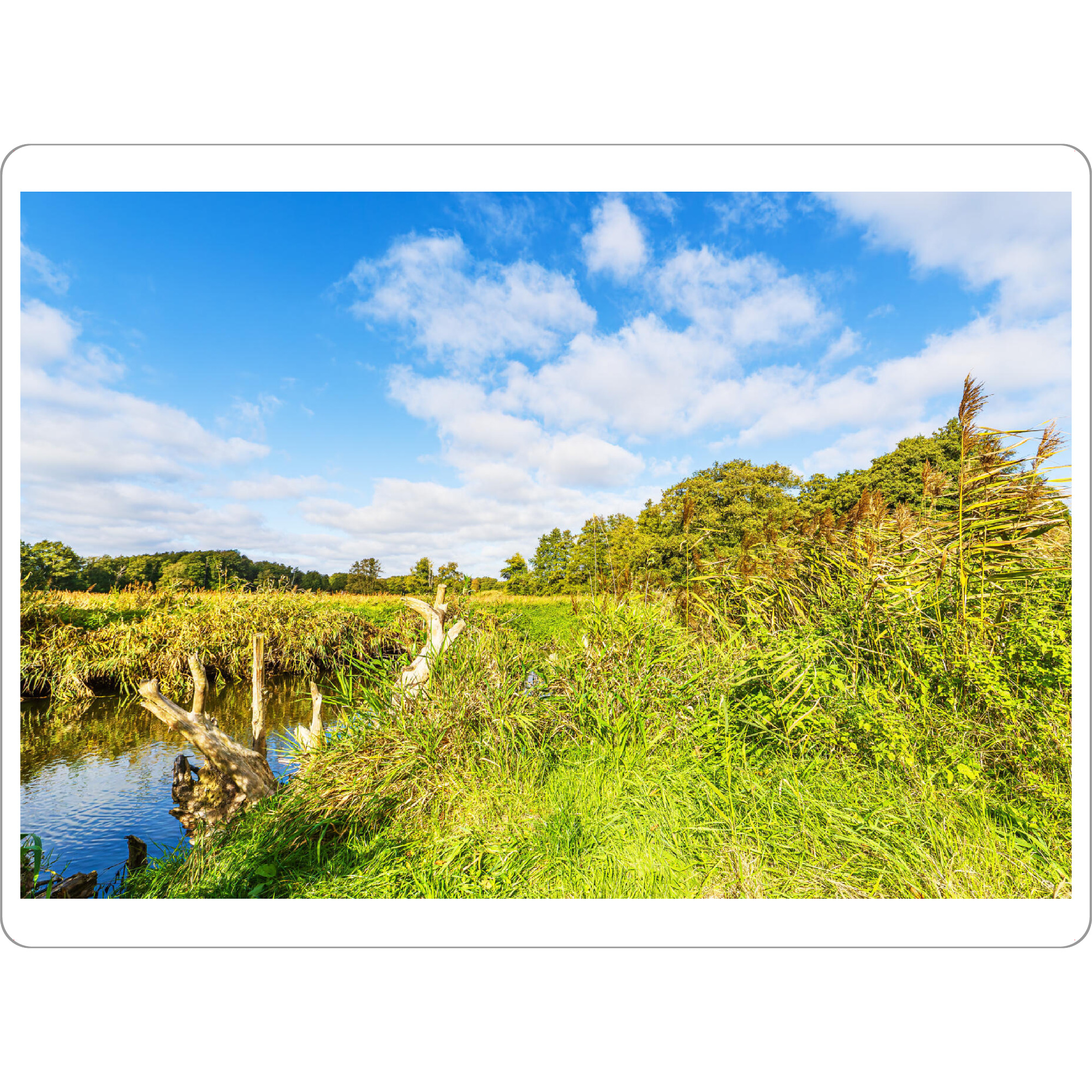 Tischset "Herbst im Warnowdurchbruchstal" artboxONE - Natur,Reise