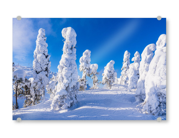 Acrylglasbild "Winter in Lappland" artboxONE - Natur,Reise,Reise / Länder