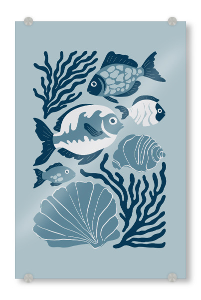 Acrylglasbild "Tropischer Fisch" artboxONE - Natur,Tiere,Abstrakt,Reise / Strand und Meer