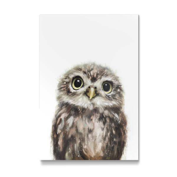 Galerie-Print "Mini Eule im Licht" 30x20 cm artboxONE