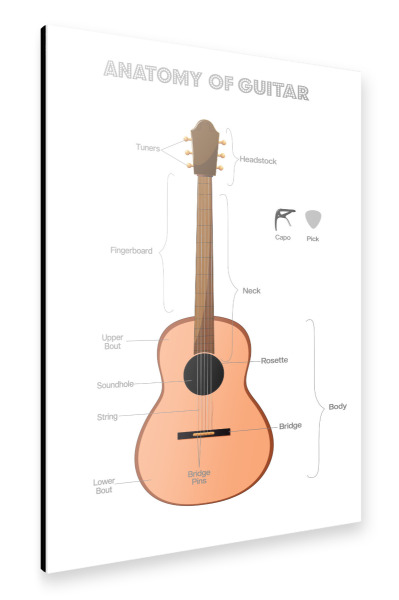 Alu-Dibond "Anatomie der Gitarre" 75x50 cm artboxONE
