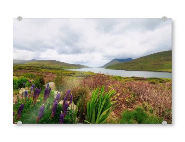 Acrylglasbild "Killary Fjiord" artboxONE - Natur,Reise,Floral,Reise / Strand und Meer,Reise / Länder