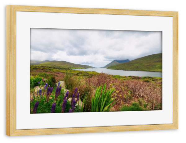 Poster mit Rahmen kiefer "Killary Fjiord" artboxONE - Natur,Reise,Floral,Reise / Strand und Meer,Reise / Länder