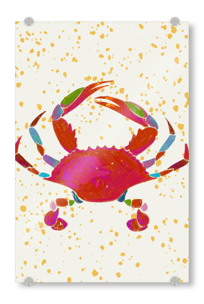 Acrylglasbild "Krabbe bei der goldenen Flut" artboxONE - Tiere - Krabbe,Tiere,Tier,Meer,Küste,Vielseitig,Bunt,Schrullig,Skurril,Niedlich