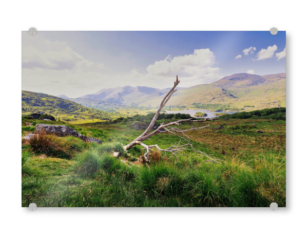 Acrylglasbild "Ladies View" artboxONE - Natur,Reise,Reise / Länder