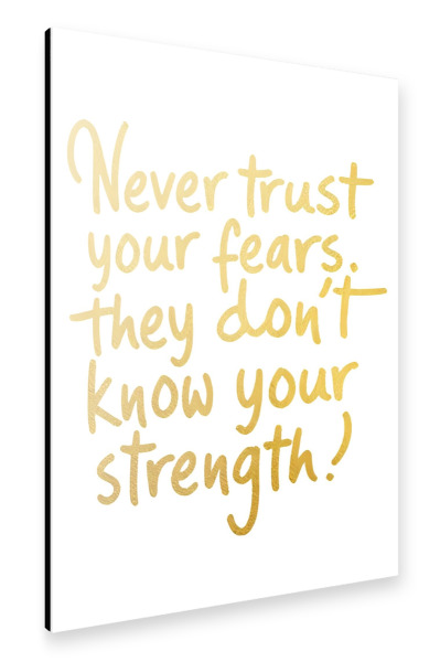 Alu-Dibond "Vertraue niemals deinen Ängsten" 30x20 cm artboxONE