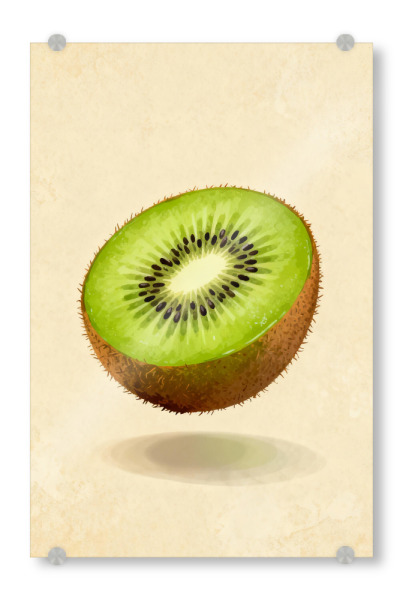 Acrylglasbild "Kiwischeibe" artboxONE - Essen & Trinken,Essen & Trinken / Obst & Gemüse