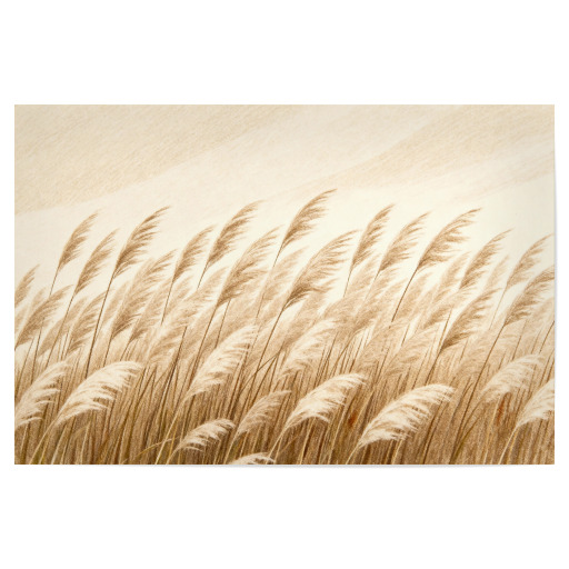 Pampasgras Soft Botanical