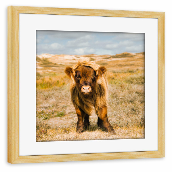 Poster mit Rahmen kiefer "Looking" artboxONE - Natur,Tiere,Reise / Strand und Meer,Reise / Länder