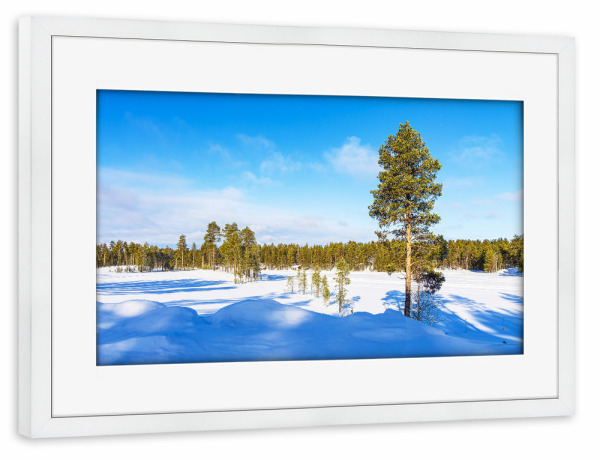 Poster mit Rahmen weiß "Winter bei Kuusamo, Finnland" artboxONE - Natur,Reise,Reise / Länder