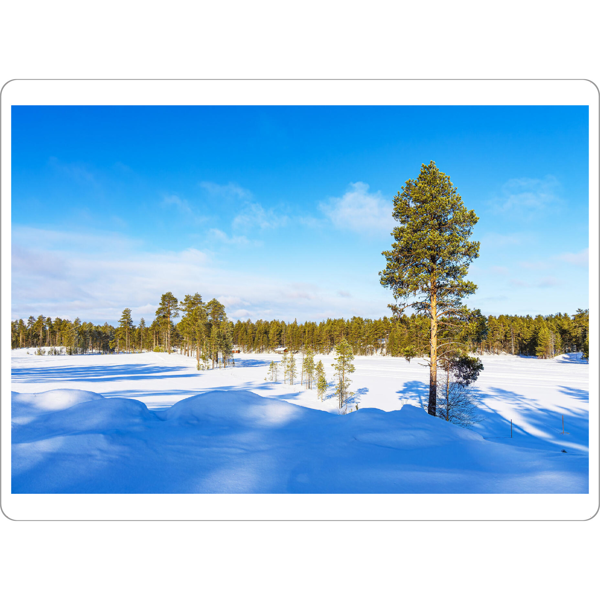 Tischset "Winter bei Kuusamo, Finnland" artboxONE - Natur,Reise,Reise / Länder