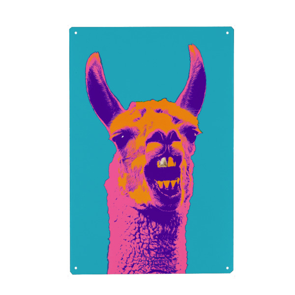 Metall Poster "Lama mit Goldzahn" artboxONE - Typografie,Fiktion,Lustig