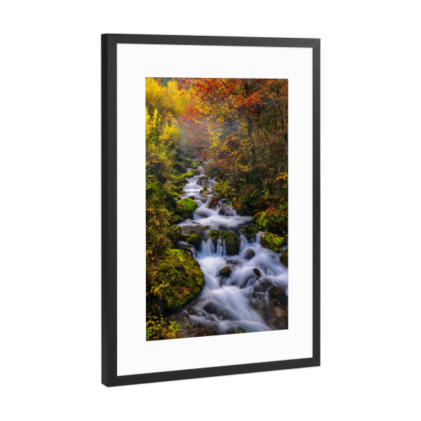 Poster mit Rahmen Schwarz (Metallic) "Herbst in den Wäldern Sloweniens" artboxONE - Natur