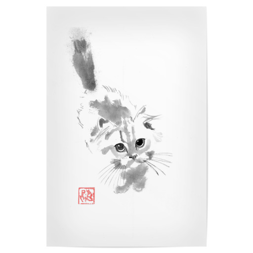 Süße flauschige Katze