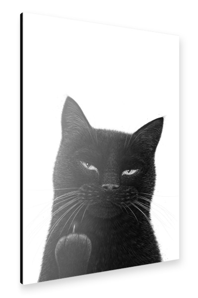 Alu-Dibond "Katze der Dunkelheit" 75x50 cm artboxONE