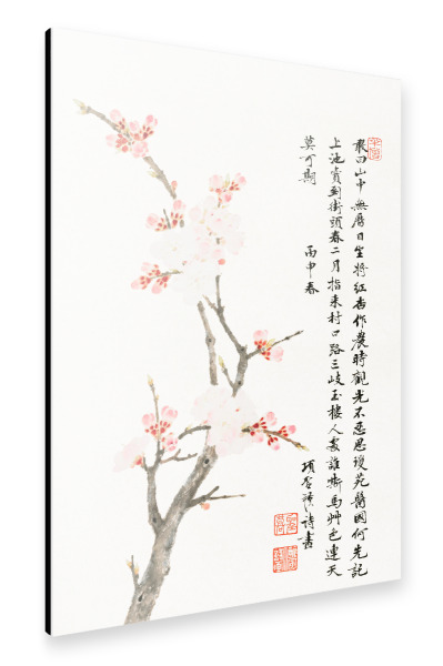 Alu-Dibond "Chinese cherry blossom" 30x20 cm artboxONE