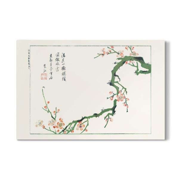 Galerie-Print "Sorimachi 409 -" 30x20 cm artboxONE