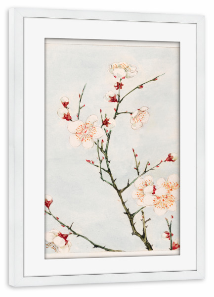 Poster mit Rahmen weiß "Pflaumenzweige - M. Morikaga" artboxONE - Natur,Floral,Reise / Asien