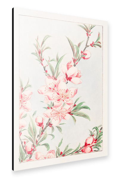 Alu-Dibond "Pfirsichbaumzweige - Morikaga" 75x50 cm artboxONE