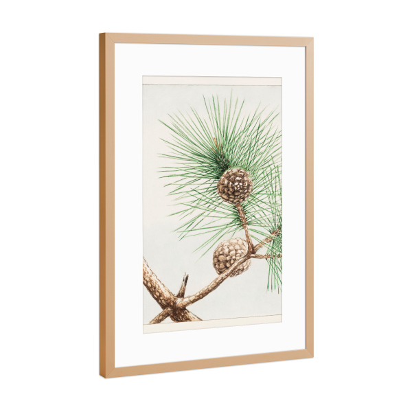 Poster mit Rahmen Kupfer "Matsu-Kiefer" artboxONE - Natur,Floral,Reise / Asien - Matsu-kiefer,Floral,Natur,Kunst,Malerei,Gemälde,Japan,Megata,Morikaga