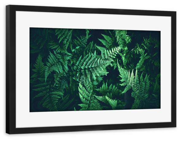 Poster mit Rahmen schwarz "Grünes Blättermeer" artboxONE - Natur,Floral - Farn,Pflanzen,Natur,Grün,Blätter,Muster,Botanik,Ruhe,Wald,Dekor