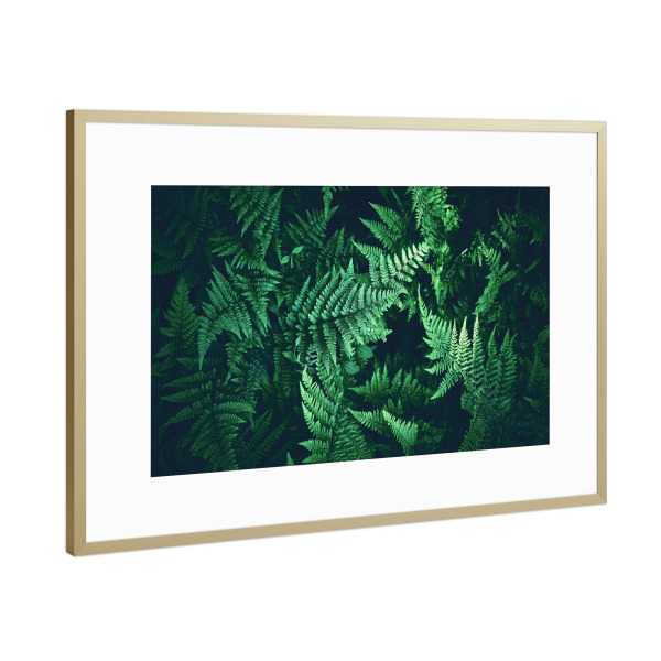 Poster mit Rahmen Gold "Grünes Blättermeer" artboxONE - Natur,Floral - Farn,Pflanzen,Natur,Grün,Blätter,Muster,Botanik,Ruhe,Wald,Dekor