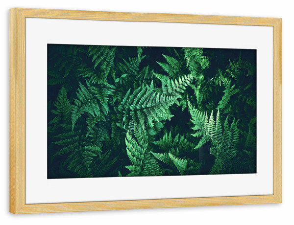 Poster mit Rahmen kiefer "Grünes Blättermeer" artboxONE - Natur,Floral - Farn,Pflanzen,Natur,Grün,Blätter,Muster,Botanik,Ruhe,Wald,Dekor