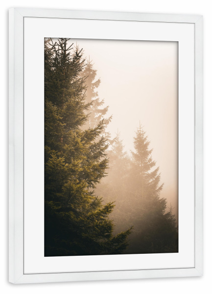 Poster mit Rahmen weiß "Goldener Wald am Morgen" artboxONE - Natur,Reise
