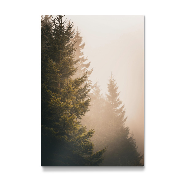 Galerie-Print "Goldener Wald am Morgen" 75x50 cm artboxONE