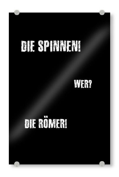Acrylglasbild "Die Spinnen!" artboxONE - Typografie,Für Kinder,Schwarzweiß,Männer,Lustig