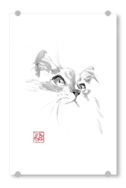 Acrylglasbild "Süßes Katzenkätzchen" artboxONE - Tiere,Schwarzweiß - Katze,Sumie,Japan,Schwarzweiß