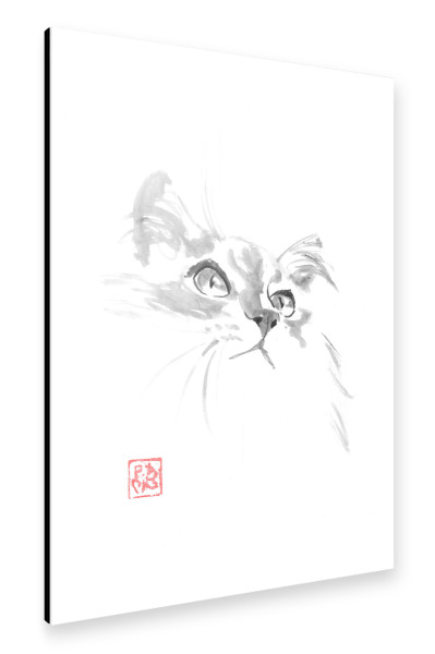 Alu-Dibond "Süßes Katzenkätzchen" 30x20 cm artboxONE