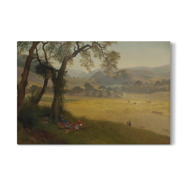 Galerie-Print "Ein goldener Sommertag" 30x20 cm artboxONE