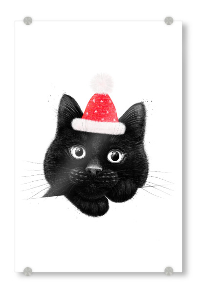 Acrylglasbild "Weihnachtsschwarze Katze" artboxONE - Natur,Für Kinder,Weihnachten,Lustig