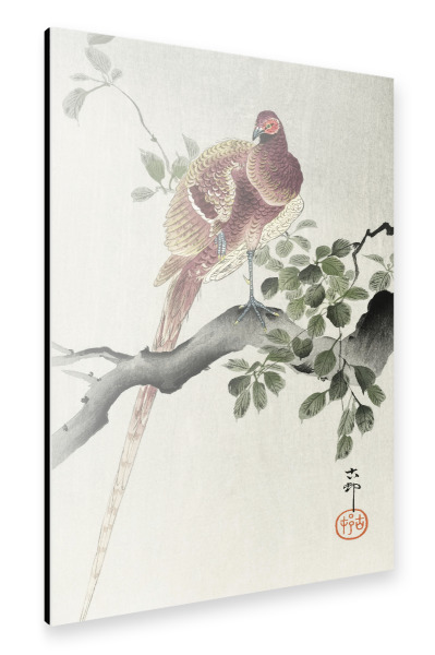 Alu-Dibond "Kupferfasan von Ohara Koson" 75x50 cm artboxONE