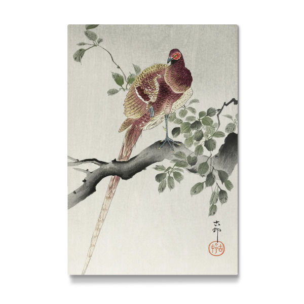 Galerie-Print "Kupferfasan von Ohara Koson" 30x20 cm artboxONE