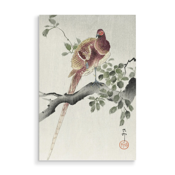 Holzbild "Kupferfasan von Ohara Koson" artboxONE - Natur,Tiere,Für Mama