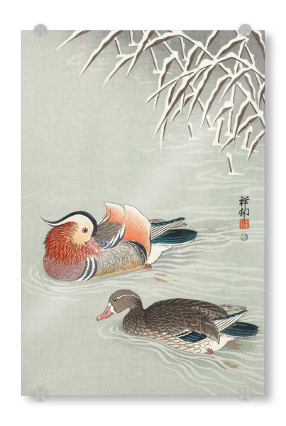 Acrylglasbild "Mandarinenenten von Ohara Koson" artboxONE - Natur,Tiere,Für Mama