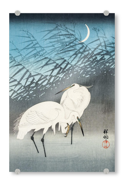 Acrylglasbild "Reiher und Schilf im Mondlicht" artboxONE - Natur,Tiere,Für Mama