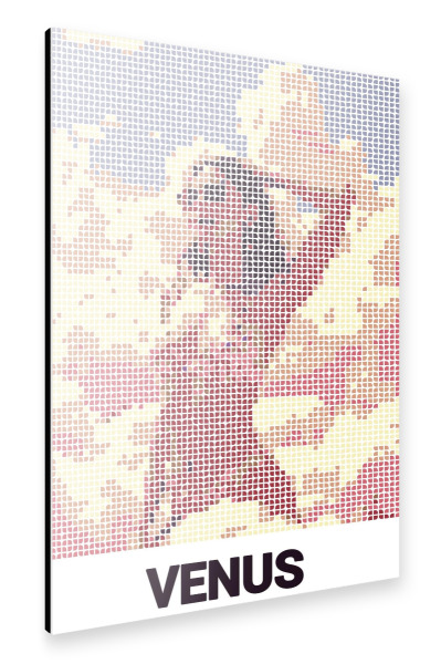 Alu-Dibond "Venus" 30x20 cm artboxONE