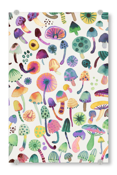 Acrylglasbild "Pilze Wald Natur Grün" artboxONE - Natur,Floral,Für Mama,Für Papa,Lustig