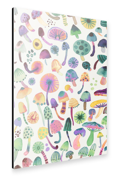 Alu-Dibond "Pilze Wald Natur Grün" 30x20 cm artboxONE
