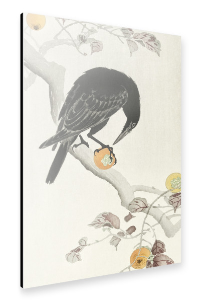 Alu-Dibond "Krähe mit Kakifrucht" 30x20 cm artboxONE