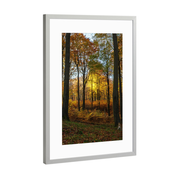 Poster mit Rahmen Silber "Leuchtende Herbstblätter" artboxONE - Natur,Reise