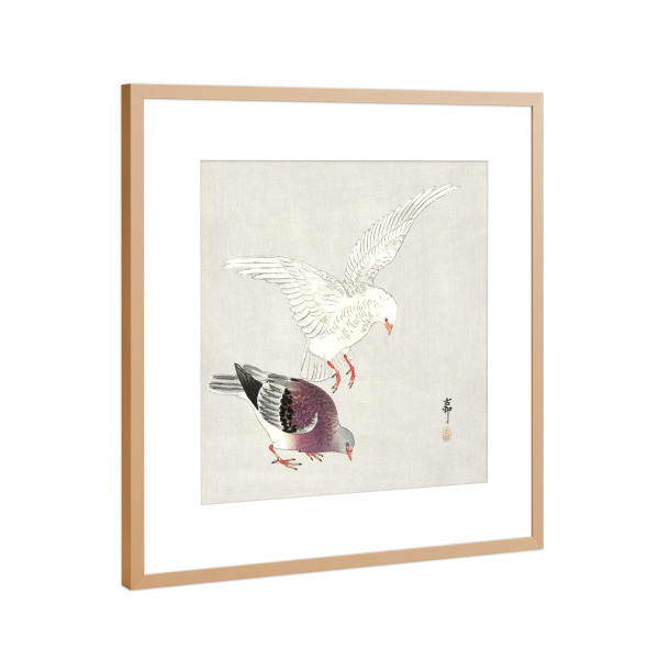 Poster mit Rahmen Kupfer "Zwei Tauben" artboxONE - Natur,Tiere,Für Mama