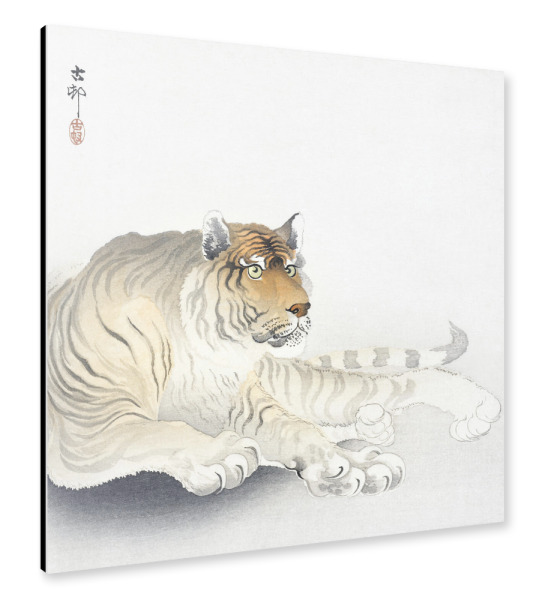 Alu-Dibond "Tiger von Ohara Koson" 30x30 cm artboxONE