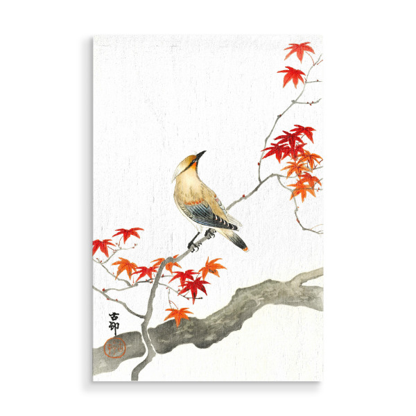Holzbild "Japanischer Pestvogel auf Ahorn" artboxONE - Natur,Floral,Tiere
