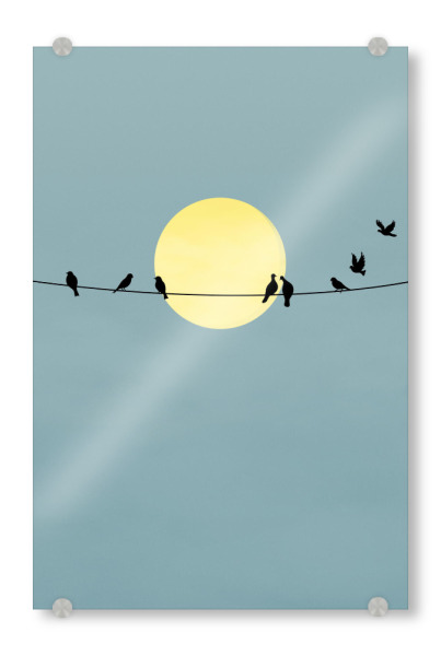 Acrylglasbild "Birds Minimal Silhouette" artboxONE - Natur,Tiere,Abstrakt,Geometrie